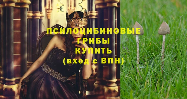apvp Пролетарск