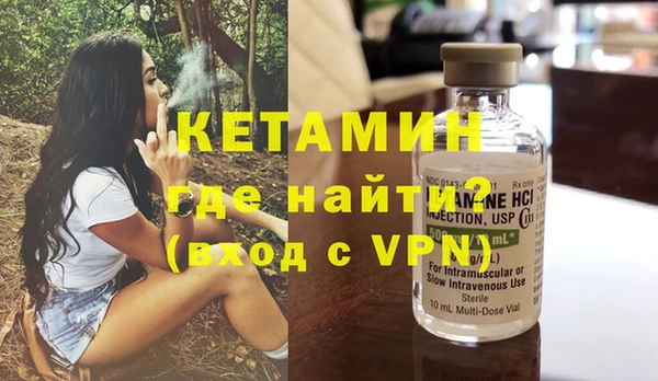 шишки Абаза