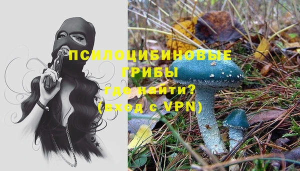 мескалин Приозерск