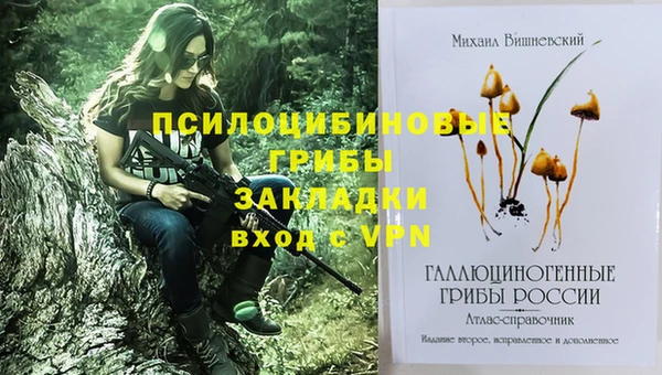 мескалин Приозерск