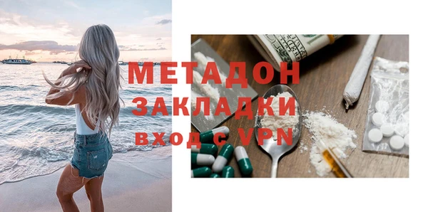 шишки Абаза